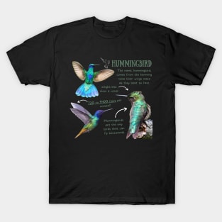 Animal facts - Hummingbird T-Shirt